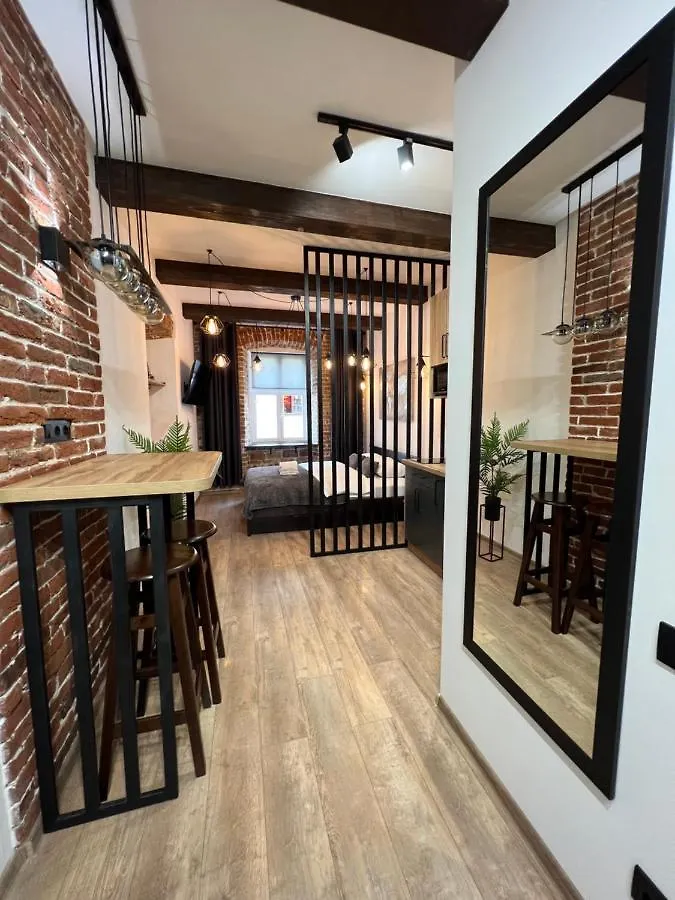 Cozy Loft На Староєврейській 24 Lviv Apartment