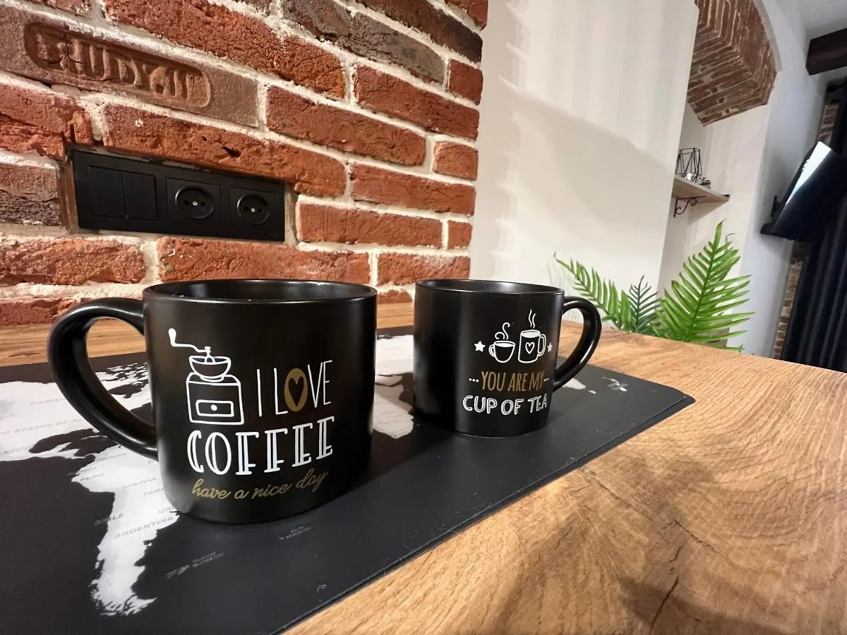 Cozy Loft На Староєврейській 24 Lviv Apartment